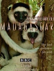 BBC:马达加斯加