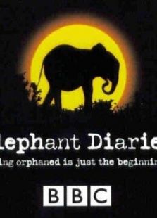 BBC：大象日记第二季